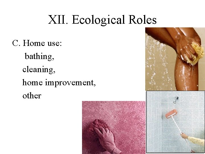 XII. Ecological Roles C. Home use: bathing, cleaning, home improvement, other 