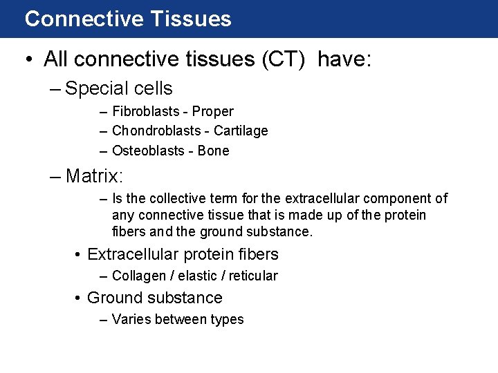 Connective Tissues • All connective tissues (CT) have: – Special cells – Fibroblasts -