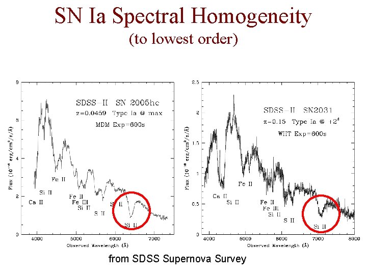 SN Ia Spectral Homogeneity (to lowest order) from SDSS Supernova Survey 