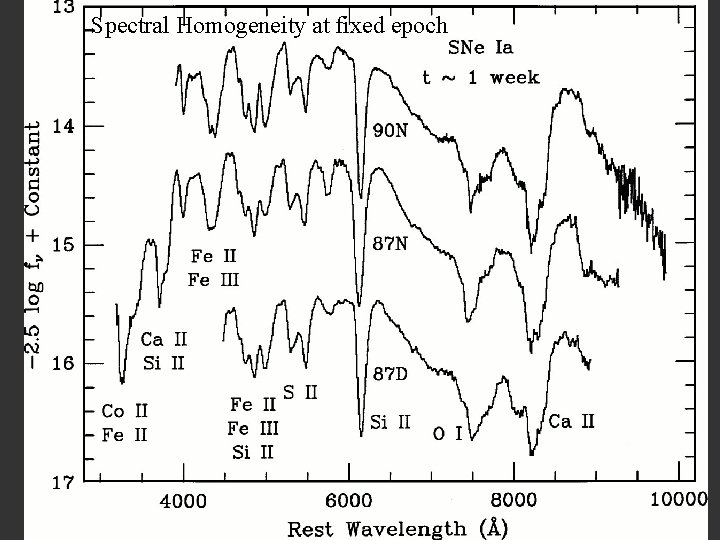 Spectral Homogeneity at fixed epoch 46 