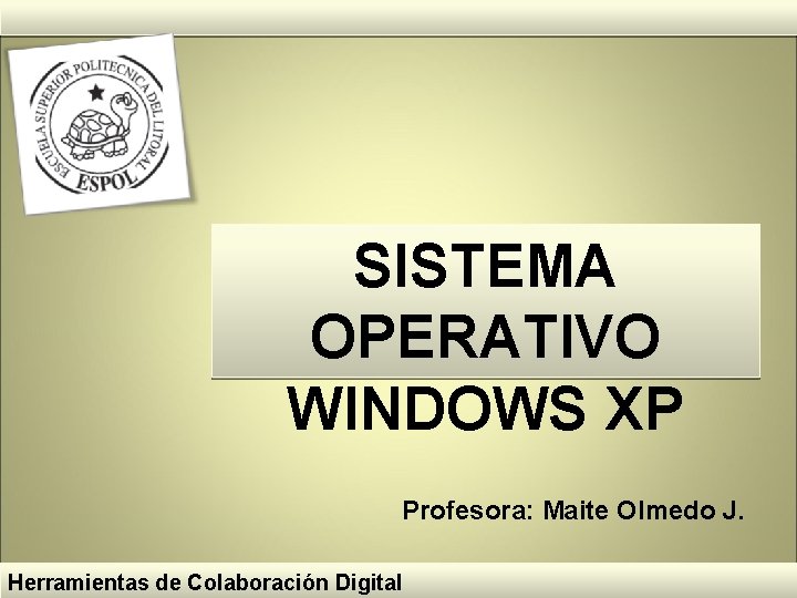 SISTEMA OPERATIVO WINDOWS XP Profesora: Maite Olmedo J. Herramientas de Colaboración Digital SISTEMA OPERATIVO WINDOWS XP Profesora: Maite Olmedo J. Herramientas de Colaboración Digital