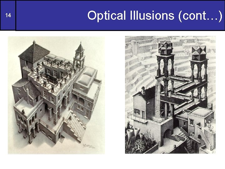 14 Optical Illusions (cont…) 