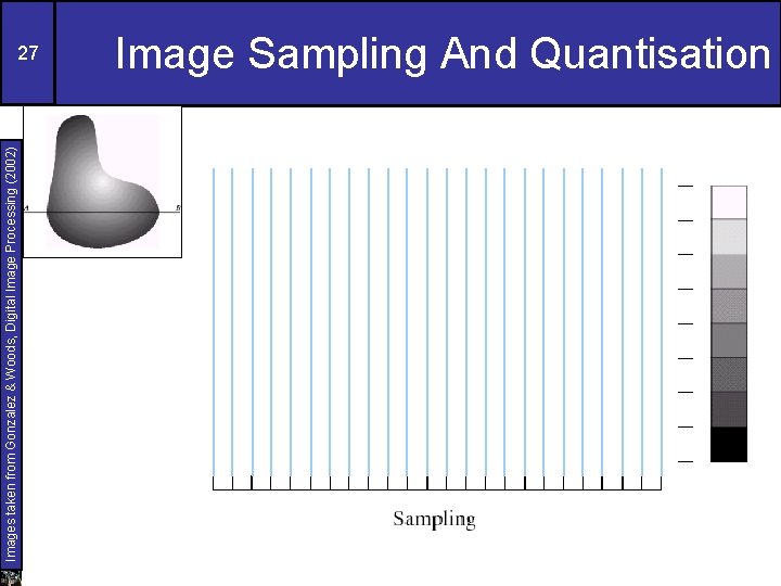 Images taken from Gonzalez & Woods, Digital Image Processing (2002) 27 Image Sampling And