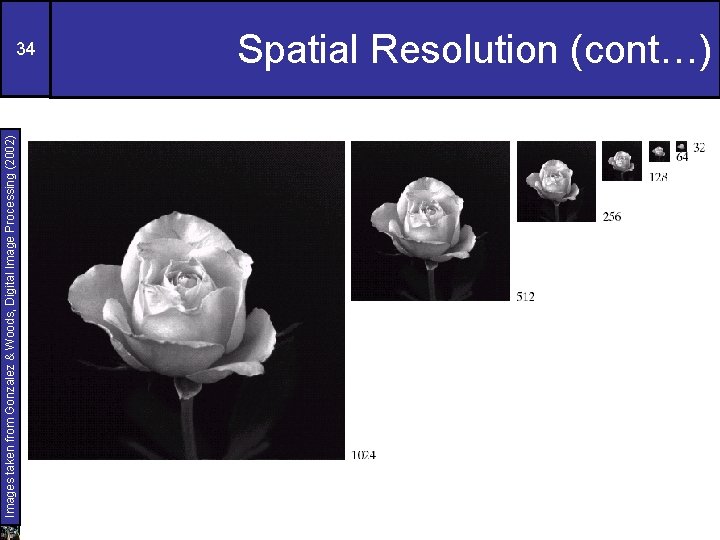 Images taken from Gonzalez & Woods, Digital Image Processing (2002) 34 Spatial Resolution (cont…)