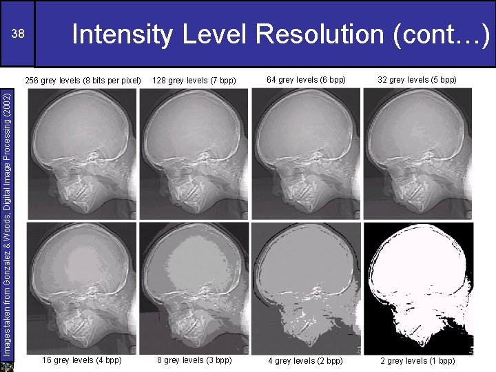 Images taken from Gonzalez & Woods, Digital Image Processing (2002) 38 Intensity Level Resolution