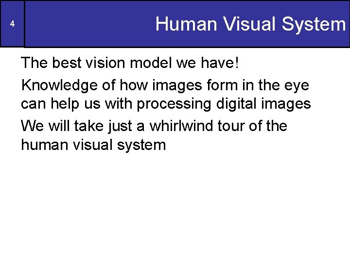 4 Human Visual System The best vision model we have! Knowledge of how images