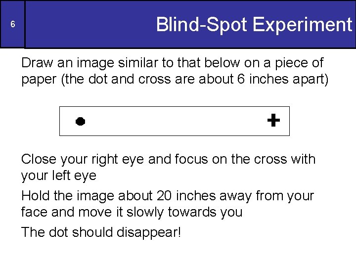 6 Blind-Spot Experiment Draw an image similar to that below on a piece of