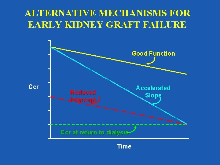 ALTERNATIVE MECHANISMS FOR EARLY KIDNEY GRAFT FAILURE Good Function Ccr Accelerated Slope Reduced Intercept