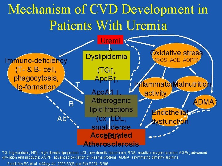 Mechanism of CVD Development in Patients With Uremia Uremi a Dyslipidemia Immuno-deficiency (T- &