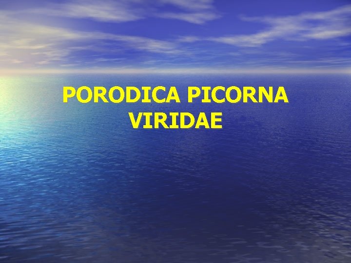 PORODICA PICORNA VIRIDAE PORODICA PICORNA VIRIDAE