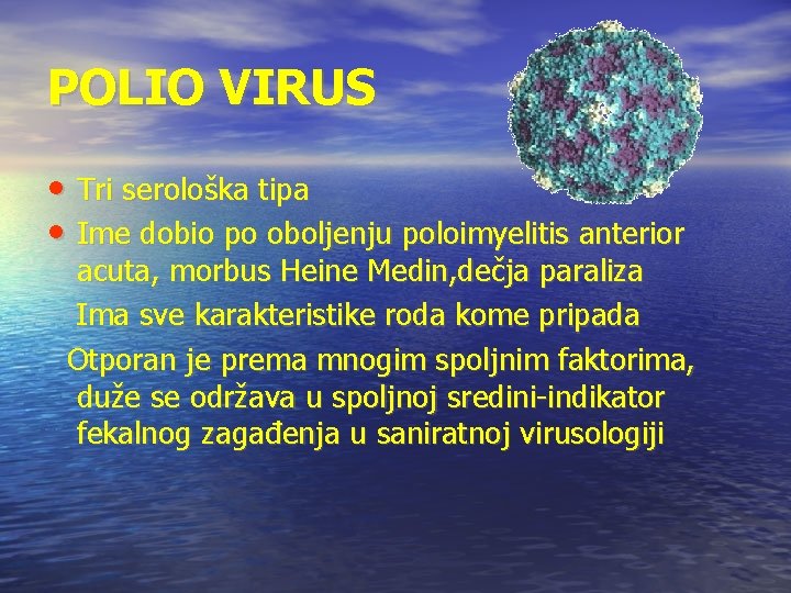 POLIO VIRUS • Tri serološka tipa • Ime dobio po oboljenju poloimyelitis anterior acuta,