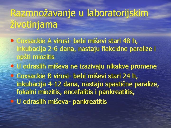 Razmnožavanje u laboratorijskim životinjama • Coxsackie A virusi- bebi miševi stari 48 h, • Razmnožavanje u laboratorijskim životinjama • Coxsackie A virusi- bebi miševi stari 48 h, •