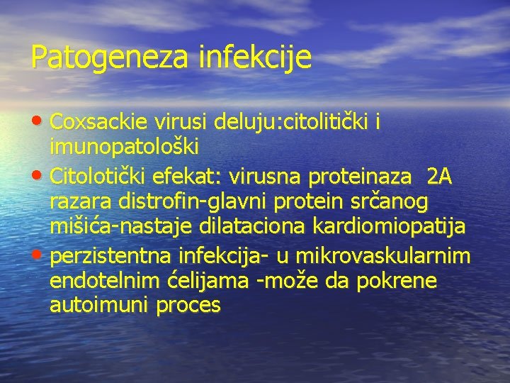 Patogeneza infekcije • Coxsackie virusi deluju: citolitički i imunopatološki • Citolotički efekat: virusna proteinaza