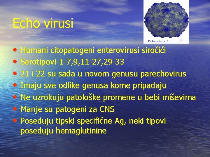 Echo virusi • Humani citopatogeni enterovirusi siročići • Serotipovi-1 -7, 9, 11 -27, 29