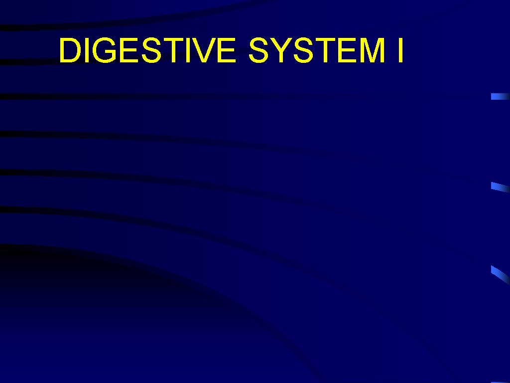 DIGESTIVE SYSTEM I 