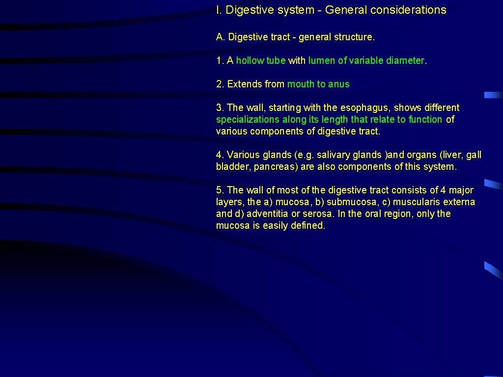 I. Digestive system - General considerations A. Digestive tract - general structure. 1. A
