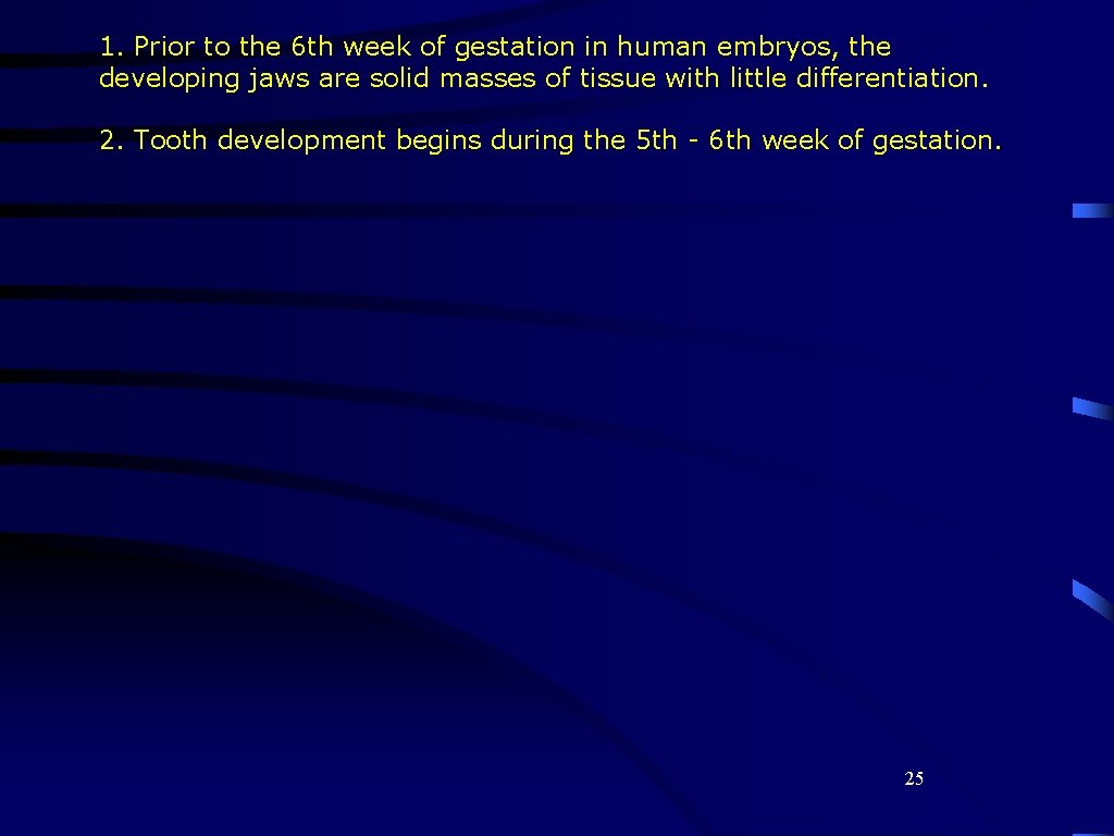 1. Prior to the 6 th week of gestation in human embryos, the developing