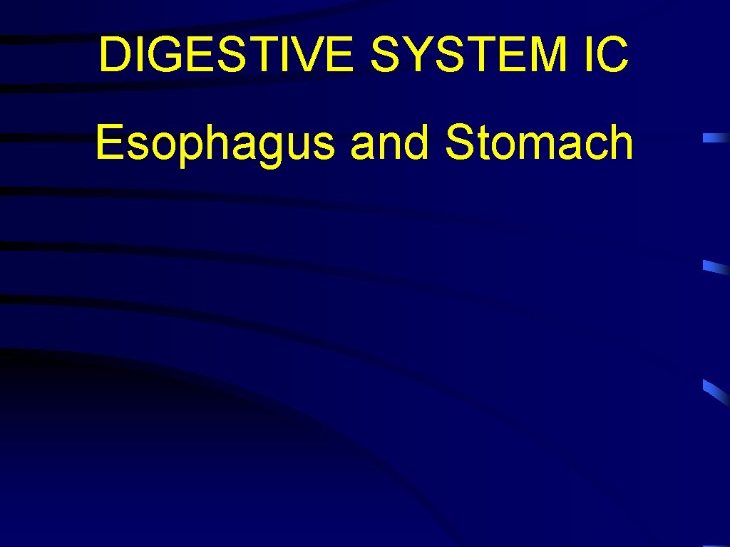 DIGESTIVE SYSTEM IC Esophagus and Stomach 