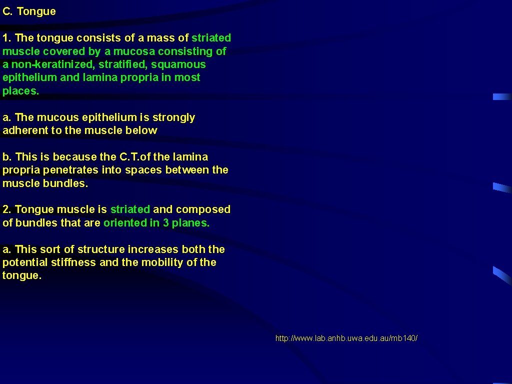 C. Tongue 1. The tongue consists of a mass of striated muscle covered by