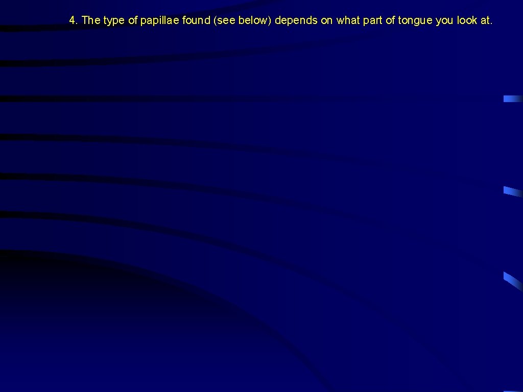 4. The type of papillae found (see below) depends on what part of tongue