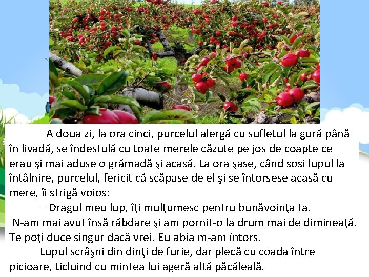A doua zi, la ora cinci, purcelul alergă cu sufletul la gură până în A doua zi, la ora cinci, purcelul alergă cu sufletul la gură până în