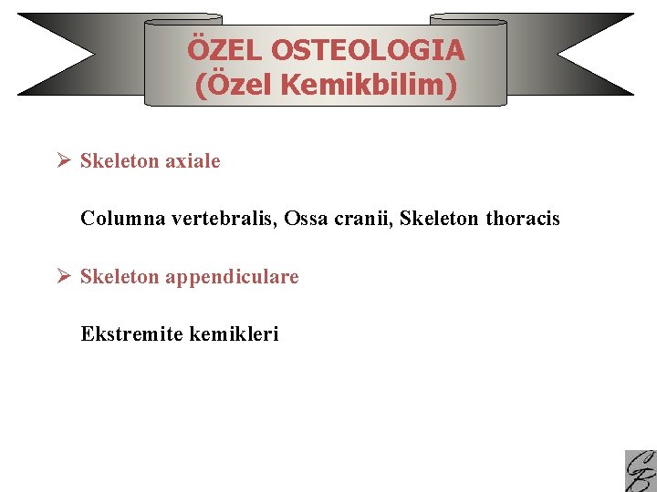 ÖZEL OSTEOLOGIA (Özel Kemikbilim) Ø Skeleton axiale Columna vertebralis, Ossa cranii, Skeleton thoracis Ø