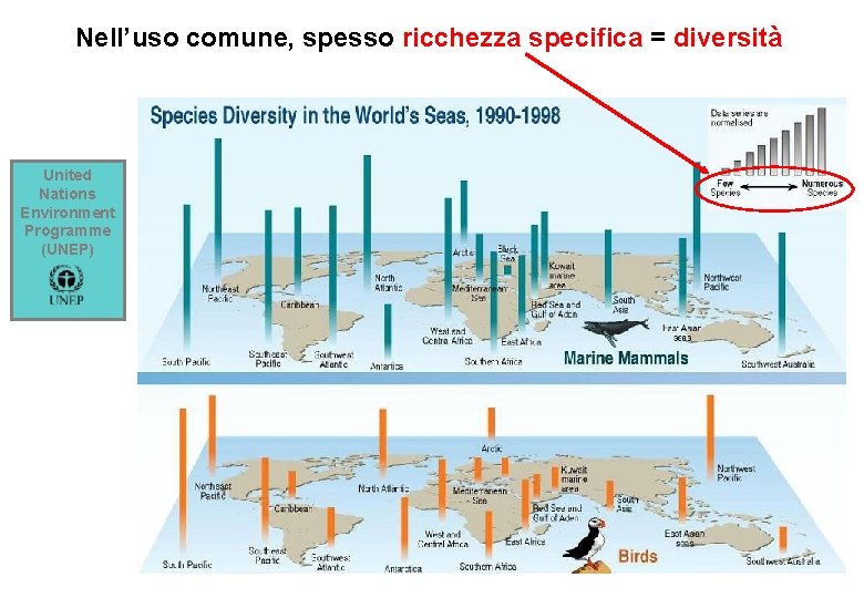 Nell’uso comune, spesso ricchezza specifica = diversità United Nations Environment Programme (UNEP) 