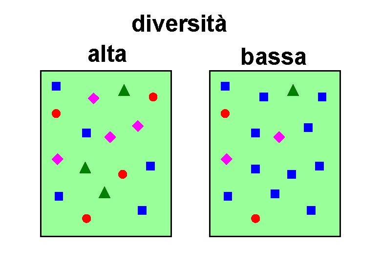 diversità alta bassa 