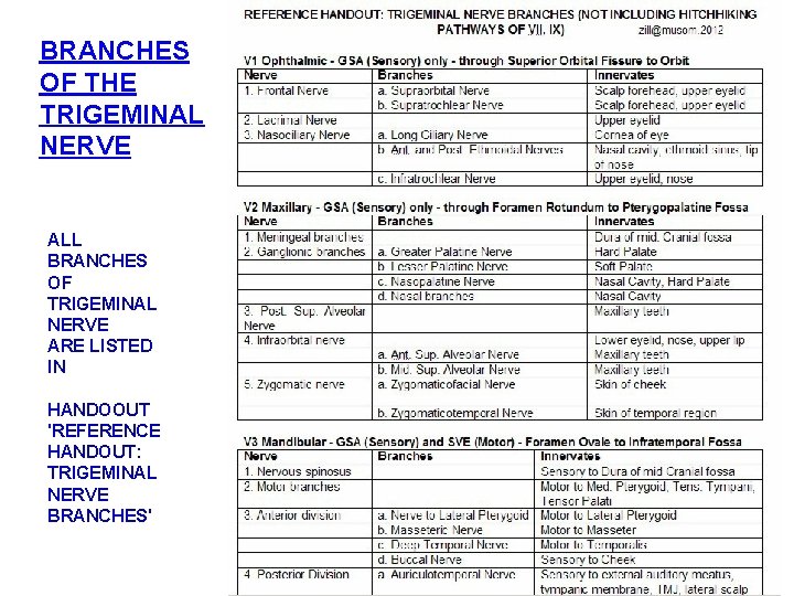 BRANCHES OF THE TRIGEMINAL NERVE ALL BRANCHES OF TRIGEMINAL NERVE ARE LISTED IN HANDOOUT