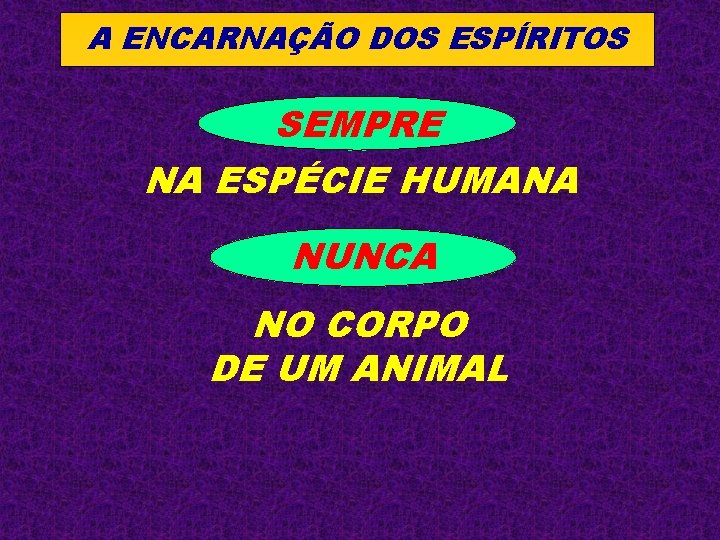 A ENCARNAÇÃO DOS ESPÍRITOS SEMPRE NA ESPÉCIE HUMANA NUNCA NO CORPO DE UM ANIMAL