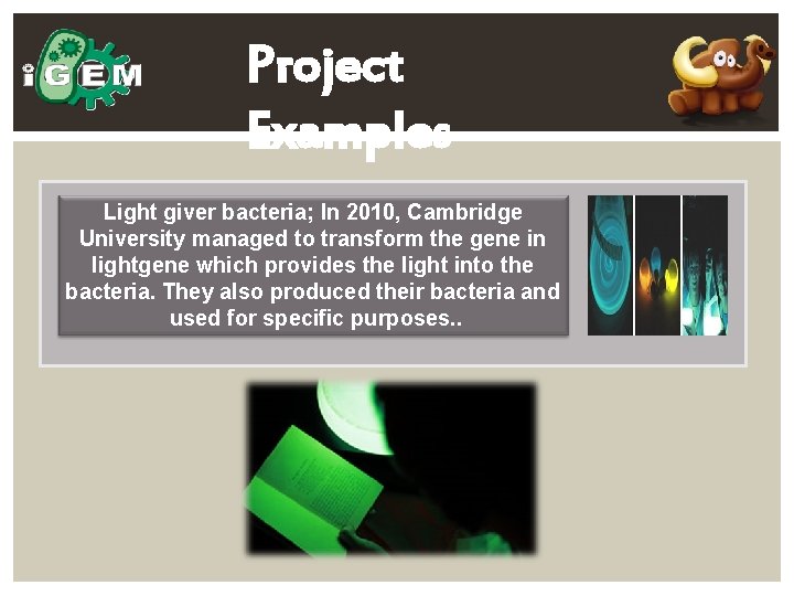 Project Examples Light giver bacteria; In 2010, Cambridge University managed to transform the gene
