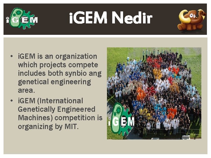 i. GEM Nedir • i. GEM is an organization which projects compete includes both