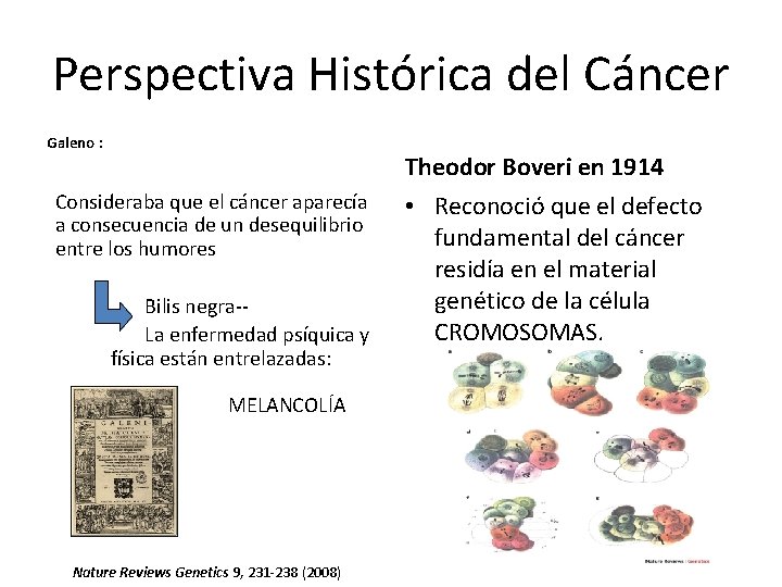 Perspectiva Histórica del Cáncer Galeno : Theodor Boveri en 1914 Consideraba que el cáncer