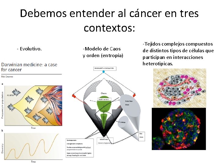 Debemos entender al cáncer en tres contextos: - Evolutivo. -Modelo de Caos y orden