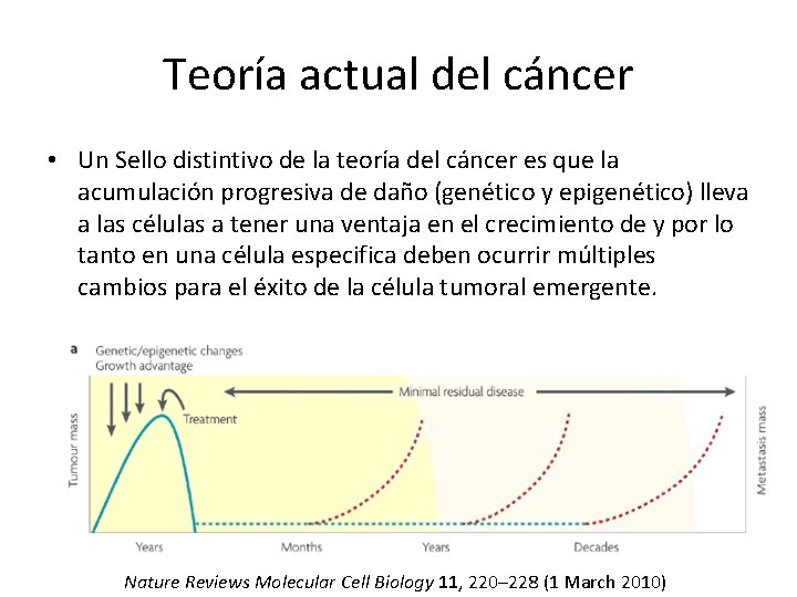 Teoría actual del cáncer • Un Sello distintivo de la teoría del cáncer es