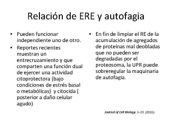 Relación de ERE y autofagia • Pueden funcionar independiente uno de otro. • Reportes