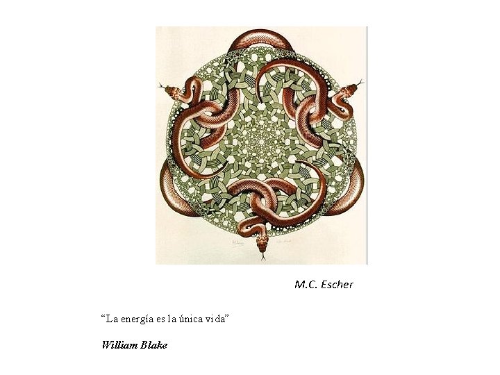 M. C. Escher “La energía es la única vida” William Blake 