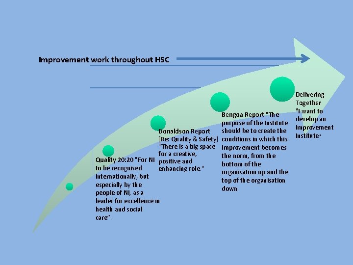 Improvement work throughout HSC Bengoa Report "The purpose of the Institute should be to