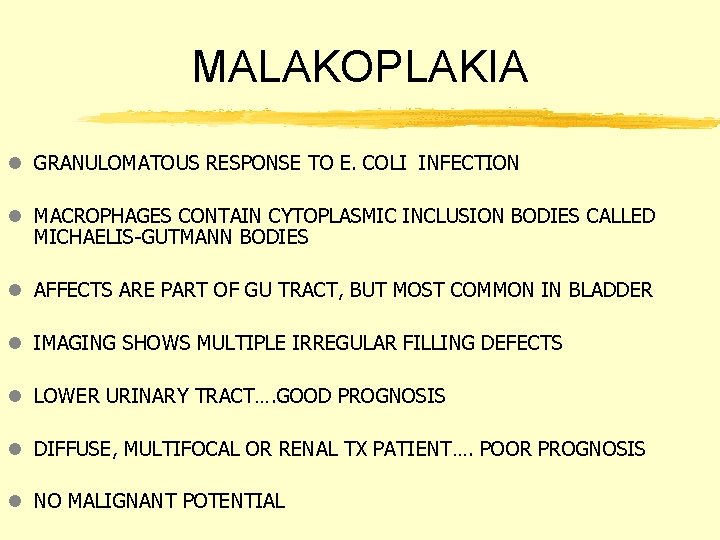 MALAKOPLAKIA l GRANULOMATOUS RESPONSE TO E. COLI INFECTION l MACROPHAGES CONTAIN CYTOPLASMIC INCLUSION BODIES