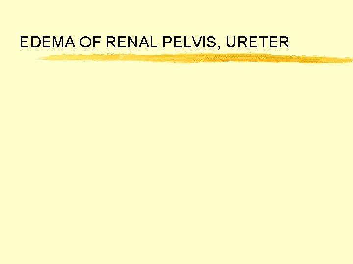 EDEMA OF RENAL PELVIS, URETER 