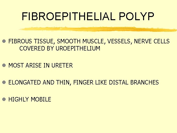 FIBROEPITHELIAL POLYP l FIBROUS TISSUE, SMOOTH MUSCLE, VESSELS, NERVE CELLS COVERED BY UROEPITHELIUM l