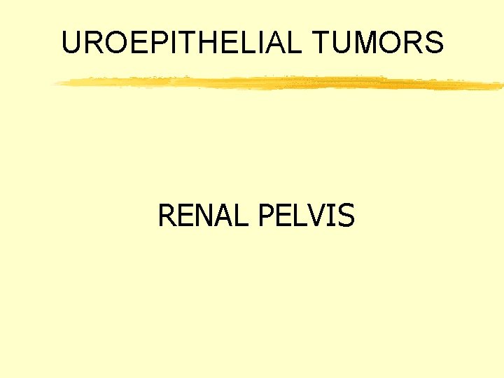 UROEPITHELIAL TUMORS RENAL PELVIS 