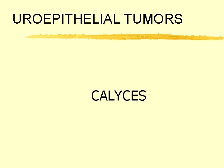 UROEPITHELIAL TUMORS CALYCES 