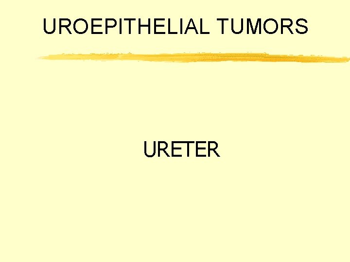UROEPITHELIAL TUMORS URETER 