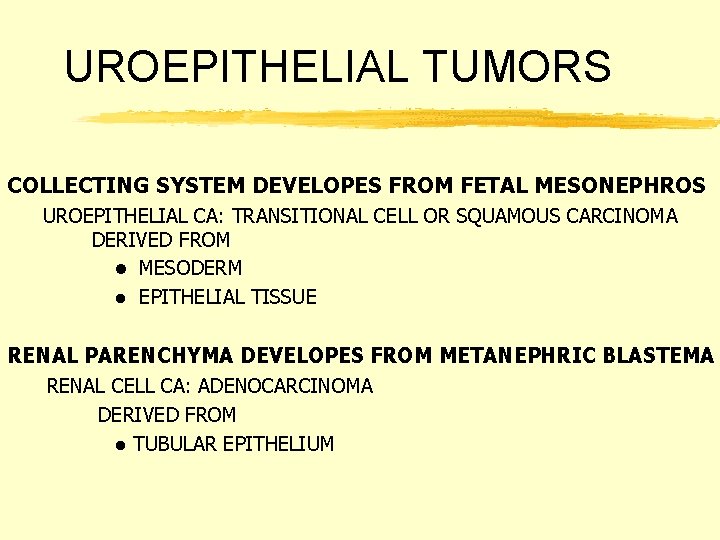 UROEPITHELIAL TUMORS COLLECTING SYSTEM DEVELOPES FROM FETAL MESONEPHROS UROEPITHELIAL CA: TRANSITIONAL CELL OR SQUAMOUS