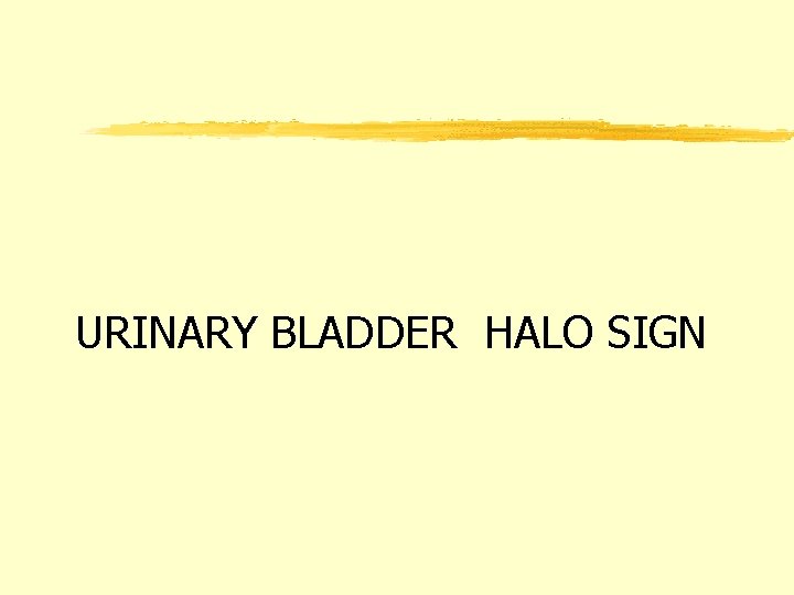 URINARY BLADDER HALO SIGN 