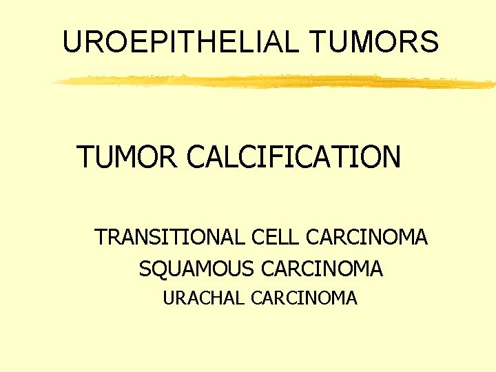 UROEPITHELIAL TUMORS TUMOR CALCIFICATION TRANSITIONAL CELL CARCINOMA SQUAMOUS CARCINOMA URACHAL CARCINOMA 