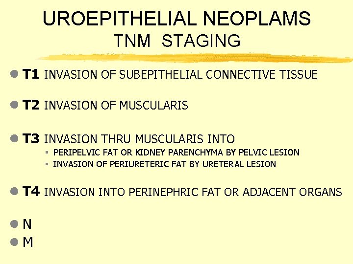 UROEPITHELIAL NEOPLAMS TNM STAGING l T 1 INVASION OF SUBEPITHELIAL CONNECTIVE TISSUE l T