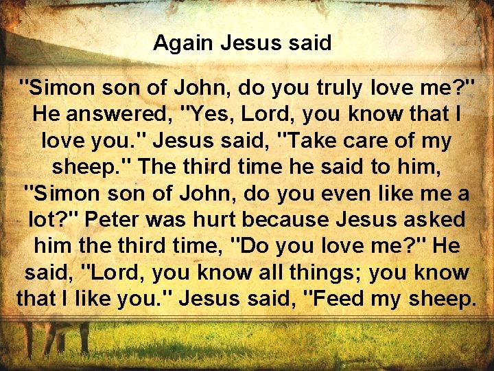 Again Jesus said "Simon son of John, do you truly love me? " He