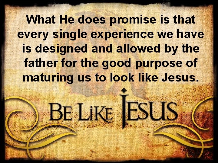 What He does promise is that every single experience we have is designed and
